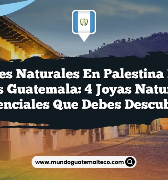 Paisajes Naturales en Palestina De Los Altos Guatemala: 4 Joyas Naturales Esenciales que Debes Descubrir