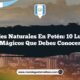 Paisajes Naturales en Petén: 10 Lugares Mágicos que Debes Conocer