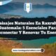 Paisajes Naturales en Raxruhá Guatemala: 5 Esenciales para Desconectar y Renovar tu Energía