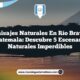 Paisajes Naturales en Río Bravo Guatemala: Descubre 5 Escenarios Naturales Imperdibles