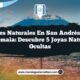 Paisajes Naturales en San Andrés Xecul Guatemala: Descubre 5 Joyas Naturales Ocultas