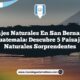 Paisajes Naturales en San Bernardino Guatemala: Descubre 5 Paisajes Naturales Sorprendentes