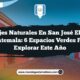 Paisajes Naturales en San José El Ídolo Guatemala: 6 Espacios Verdes para Explorar este Año