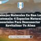 Paisajes Naturales en San Luis Guatemala: 4 Espacios Naturales Esenciales para Desconectar y Revitalizar tu Alma