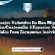 Imagen de Paisajes Naturales en San Miguel Acatán Guatemala: 5 Espacios Verdes Esenciales para Escapadas Inolvidables Paisajes Naturales en San Miguel Acatán Guatemala: 5 Espacios Verdes Esenciales para Escapadas Inolvidables