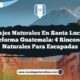 Paisajes Naturales en Santa Lucia La Reforma Guatemala: 4 Rincones Naturales para Escapadas