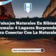 Paisajes Naturales en Sibinal Guatemala: 4 Lugares Sorprendentes para Conectar con la Naturaleza