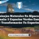 Imagen de Paisajes Naturales en Sipacate Guatemala: 5 Espacios Verdes Esenciales que Transformarán Tu Experiencia Paisajes Naturales en Sipacate Guatemala: 5 Espacios Verdes Esenciales que Transformarán Tu Experiencia