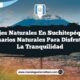 Paisajes Naturales en Suchitepéquez: 5 Escenarios Naturales para Disfrutar de la Tranquilidad