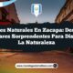 Paisajes Naturales en Zacapa: Descubre 6 Lugares Sorprendentes para Disfrutar la Naturaleza