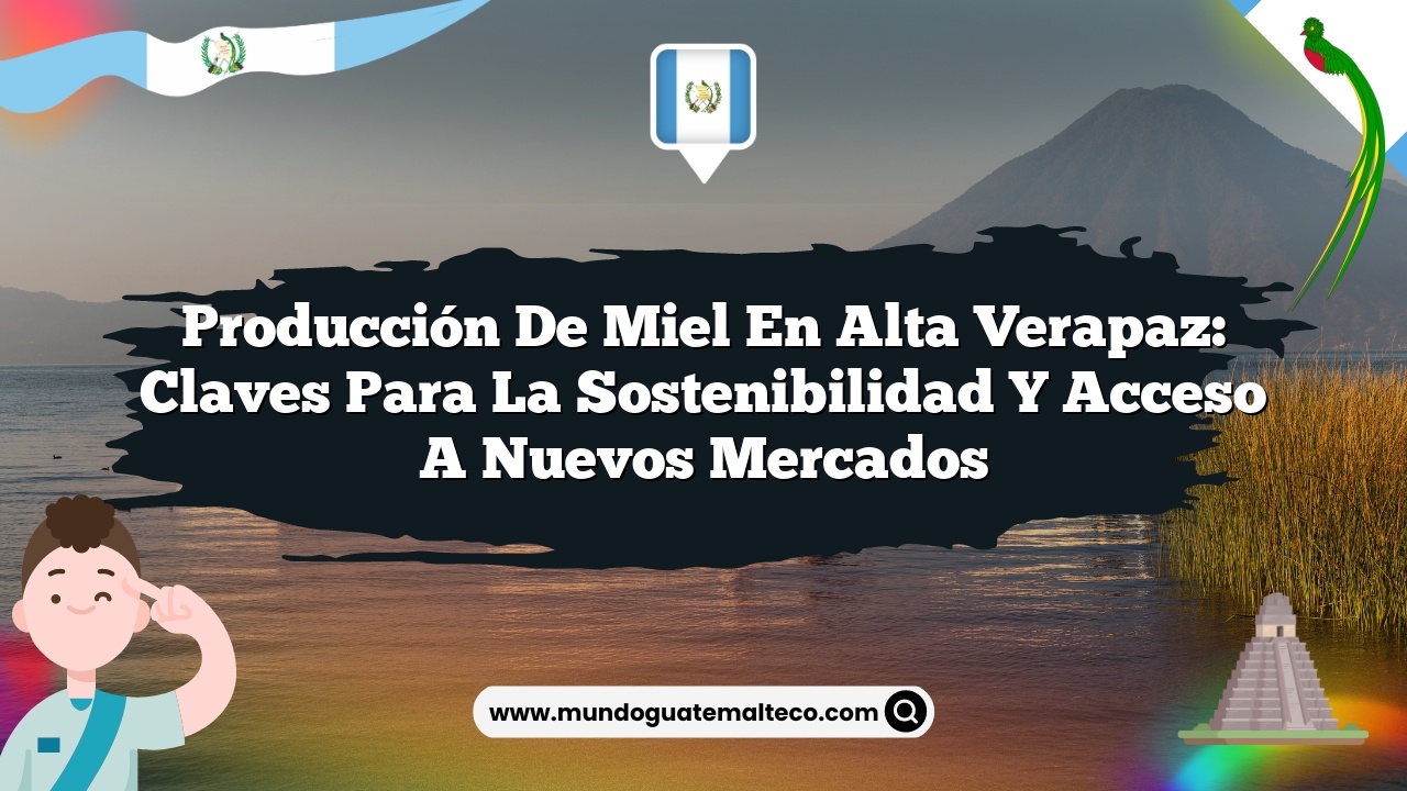 Producción de miel en Alta Verapaz: Claves para la Sostenibilidad y Acceso a Nuevos Mercados