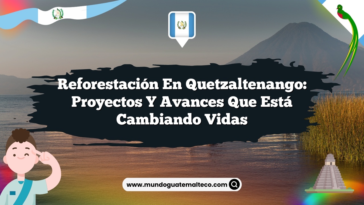 Reforestación en Quetzaltenango: Proyectos y Avances que Está Cambiando Vidas