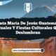 Santa María de Jesús Guatemala: Rituales y Fiestas Culturales que Deslumbran