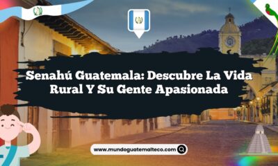 Senahú Guatemala: Descubre la Vida Rural y su Gente Apasionada