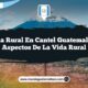 Vida Rural en Cantel Guatemala: 5 Aspectos de la Vida Rural