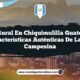 Vida Rural en Chiquimulilla Guatemala: 4 Características Auténticas de la Vida Campesina