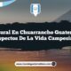 Vida Rural en Chuarrancho Guatemala: 5 Aspectos de la Vida Campesina