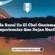 Vida Rural en El Chol Guatemala: Experiencias que Dejan Huella