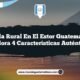 Vida Rural en El Estor Guatemala: Explora 4 Características Auténticas
