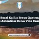 Vida Rural en Río Bravo Guatemala: 5 Rasgos Auténticos de la Vida Campesina