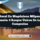 Vida Rural en Magdalena Milpas Altas Guatemala: 4 Rasgos Únicos de la Vida Campesina