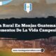 Vida Rural en Monjas Guatemala: 5 Elementos de la Vida Campesina