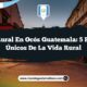 Vida Rural en Ocós Guatemala: 5 Rasgos Únicos de la Vida Rural