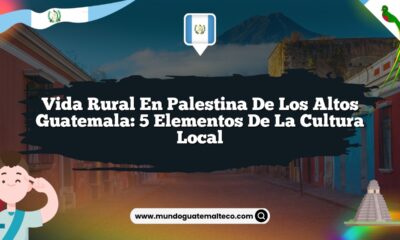 Vida Rural en Palestina de los Altos Guatemala: 5 Elementos de la Cultura Local