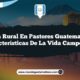 Vida Rural en Pastores Guatemala: 4 Características de la Vida Campesina