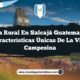 Vida Rural en Salcajá Guatemala: 5 Características Únicas de la Vida Campesina