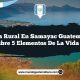 Vida Rural en Samayac Guatemala: Descubre 5 Elementos de la Vida Rural
