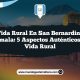 Vida Rural en San Bernardino Guatemala: 5 Aspectos Auténticos de la Vida Rural