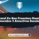 Vida Rural en San Francisco Guatemala: Descubre 4 Atractivos Rurales