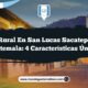 Vida Rural en San Lucas Sacatepéquez Guatemala: 4 Características Únicas