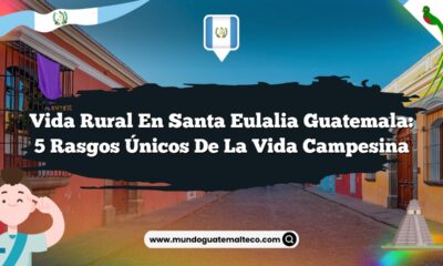 Vida Rural en Santa Eulalia Guatemala: 5 Rasgos Únicos de la Vida Campesina