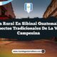 Vida Rural en Sibinal Guatemala: 5 Aspectos Tradicionales de la Vida Campesina