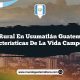 Vida Rural en Usumatlán Guatemala: 5 Características de la Vida Campesina