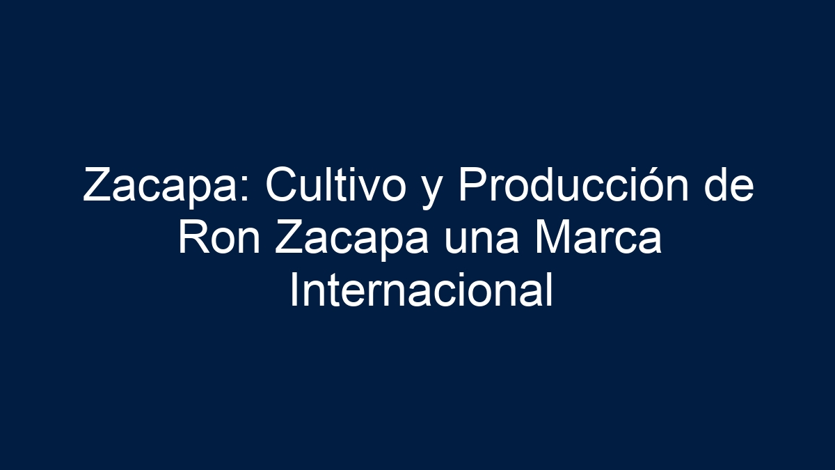 Zacapa: Cultivo y Producción de Ron Zacapa una Marca Internacional - 13